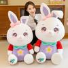 Cherry Rabbit Plush Toy Stuffed Animal With Soft Pp Cotton For Girls Sleepover Gift