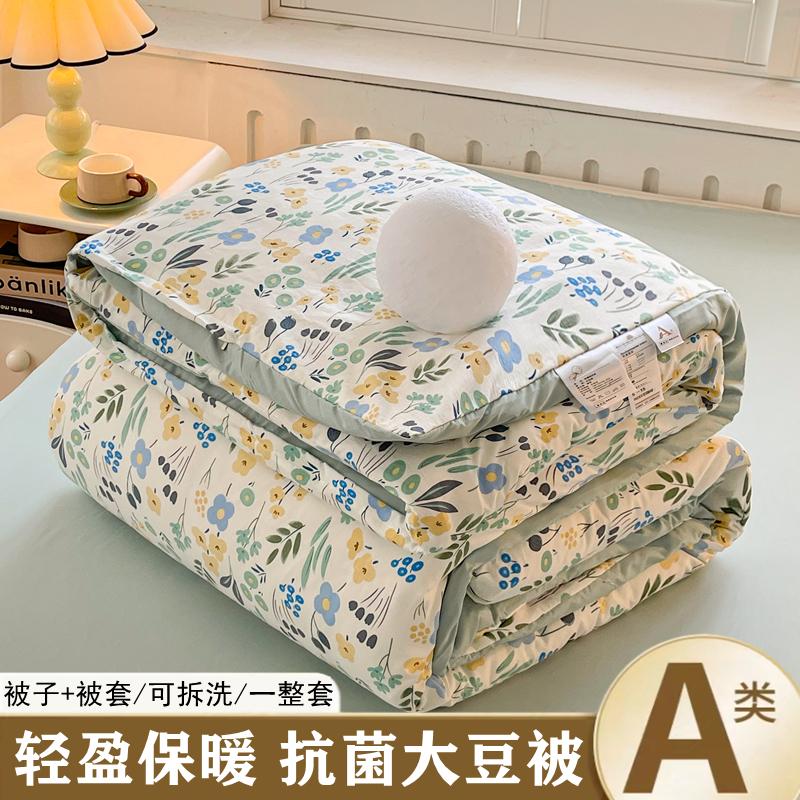 Sleeping grid printed washed cotton, removable and washable soybean fiber quilt core, winter quilt, spring and autumn quilt