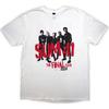 Sum 41 Unisex Adult Tour Â´24 Spray Paint Back Print T-Shirt