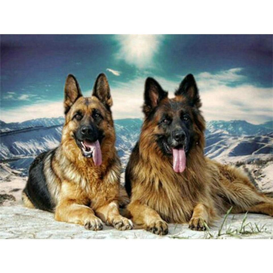5D DIY алмазная живопись животное собака горный хрусталь художественная картина овчарка Алмазная вышивка горный хрусталь мозаика домашний декор подарочный комплект