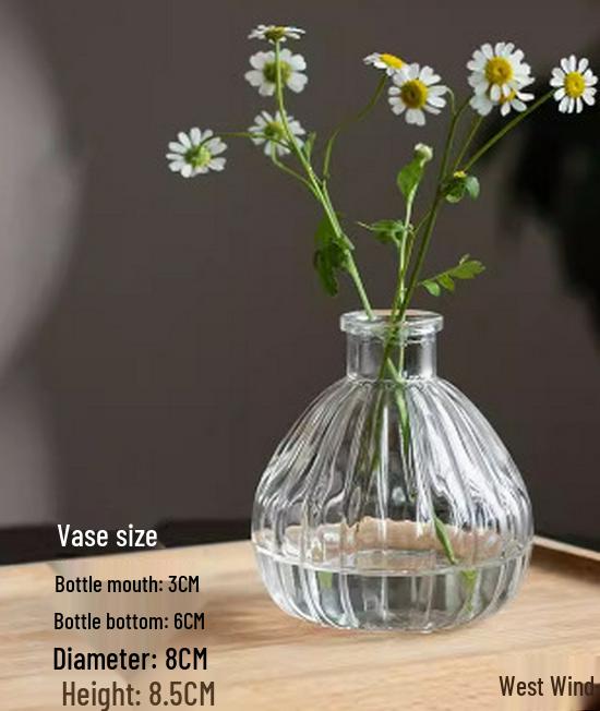 Европейская ваза из рельефного стекла в стиле легкой роскоши для гостиной, для цветочных композиций - Прозрачный гидропонный орнамент