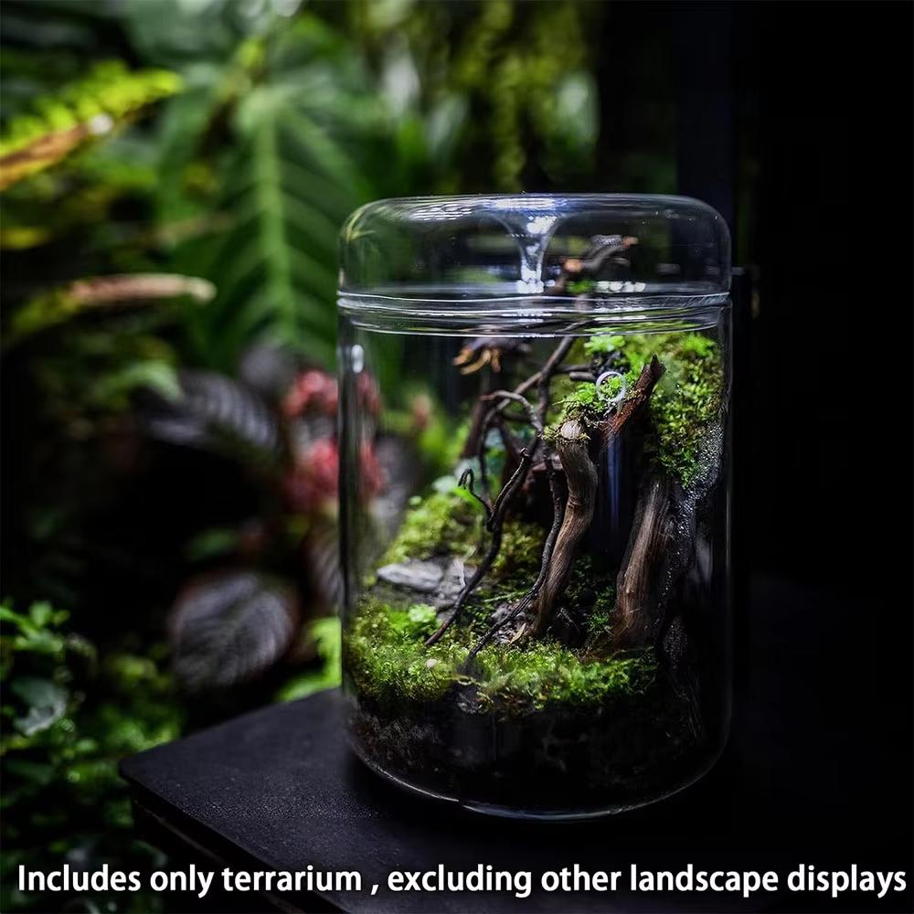 Стеклянные бутылки Творческая коллекция росы Ваза Микроландшафт Суккулентный мох Бонсай Террариум Домашний декор