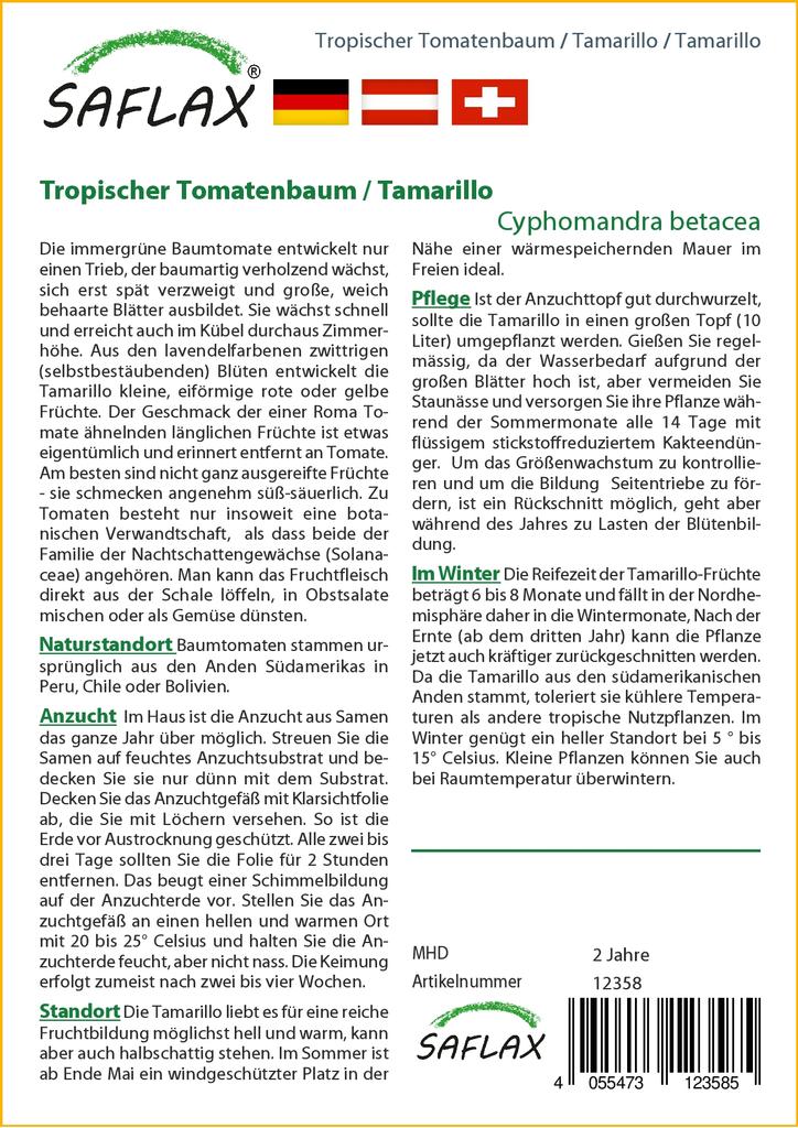 SAFLAX Тамарилло - 50 семян - С горшечным субстратом для лучшего выращивания - Cyphomandra betacea