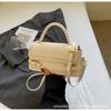 Fashion Small Square Bag Handbag Women's 2025 New High-end Texture Shoulder Bag Fashion Simple Messenger Bag