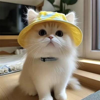 Летняя шляпа от солнца для питомца кошки с отверстиями для ушей - Милая шляпа рыбака для котенка для защиты от ультрафиолета, Дышащая уличная кепка от солнца для кошек