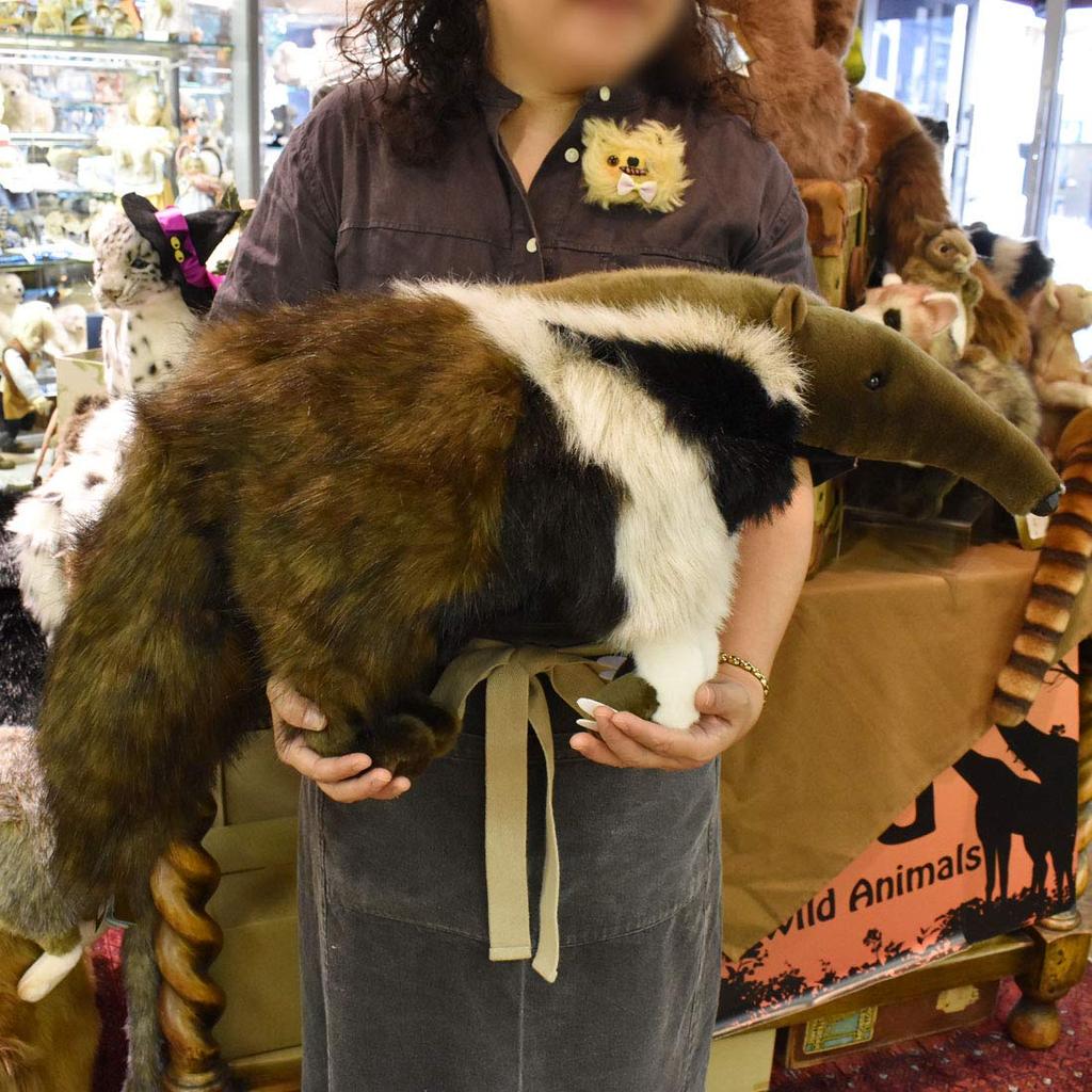 Гигантский муравьед 7 №3987