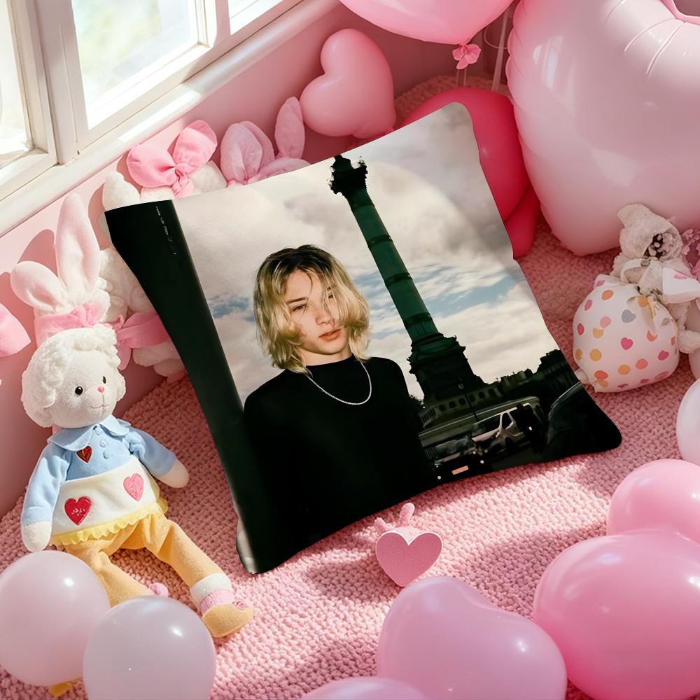 Чехол для подушки Singer Nettspend с принтом для гостиной, дивана и декора спальни