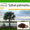 Palmetto Palm - 8 Seeds - With Potting Substrate for Better Cultivation - Sabal Palmetto
