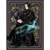Harry Potter: Wizard Dynasty Chair Severus Snape Print