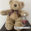 [USED] Extra-large, luxurious teddy bear, approximately 42cm, large, beige with checkered ribbon