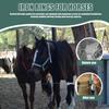 Heavy Duty Horse Tie Down Ring Solid Horse Hitching Ring Barn Supplies Horse Safety Tie Ring  Stall