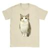 Крутая Забавная Кошачья Мемная Футболка Meowl для Женщин Футболка с Круглым Вырезом Футболки с Коротким Рукавом Классическая Одежда Эстетика Y2K Забавная Одежда