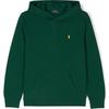 Polo Hoodie Kids Solid Color Small Pony Embroidery Hooded Pullover Long Sleeve Kids Hoodies Green 323749954-048