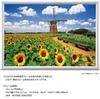 Yanoman [Made in Japan] 108-Piece Jigsaw Puzzle, Large Pieces, Japanese Landscape: Dutch Windmills and Sunflowers, Chiba (26x38cm), 01-2082, Includes