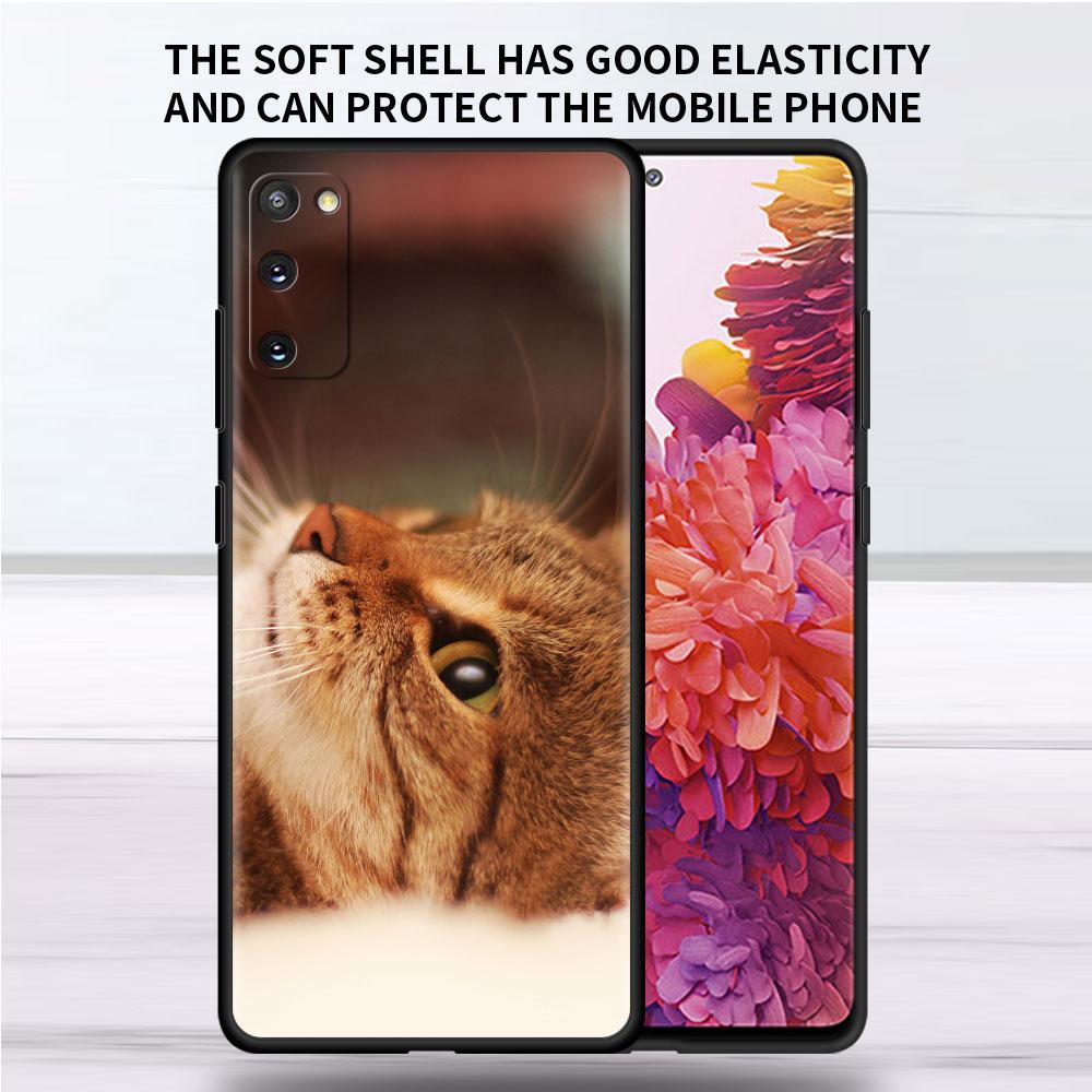 Мягкий чехол для Samsung Galaxy Note 20 Ultra 10 Plus Lite A50 A70 A20 A40 A20e 9 8 A60 A10e Funda, чехол для телефона, милый чехол с изображением кота Aniaml