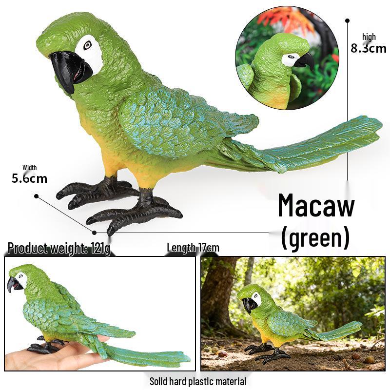 Realistic Wildlife Model: Parrot, Macaw, Peacock Heart Cognitive Toy for Children