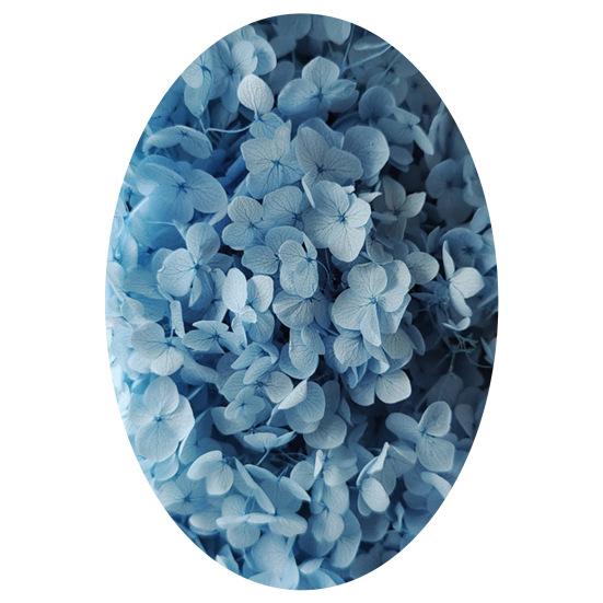 1 коробка, головки сушеных цветов, цветные, изысканные, 21 стиль, отличные привлекательные цветы гортензии, домашний декор