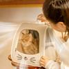 Рюкзак-переноска для питомца Клетка Кошка Антицарапина Сумка для кошки Дорожная складная сумка Школьная сумка Многофункциональная Автомобильная комфортная кабина Плечи