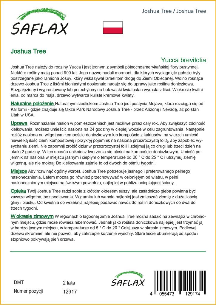 SAFLAX Дерево Джошуа - 10 семян - Юкка коротколистная