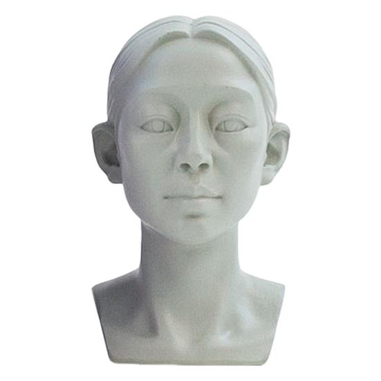 Generic Planar Head Model for Drawing Resin Skull Sculpture with Detailed Muscle Structure Art Study Tool for Sketching Anatomy Learning