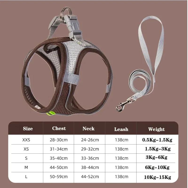 Cat Harness and Belt Set Breathable Accessories for Cats Pet Products Necklace Collar Pets Supplies Home Collars Things Cats