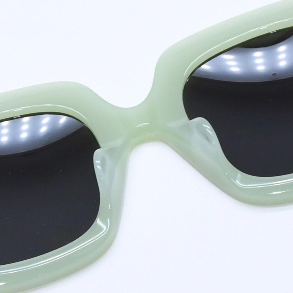 Used Very good condition LOEWE Sunglasses Eyewear LW40129U 95A Size 5022 140 Anagram Logo Pastel Green Used 4a003236