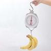 with Hanging Hook Luggage Scale Accurate Measurement Weighing Apparatus  for Fishing