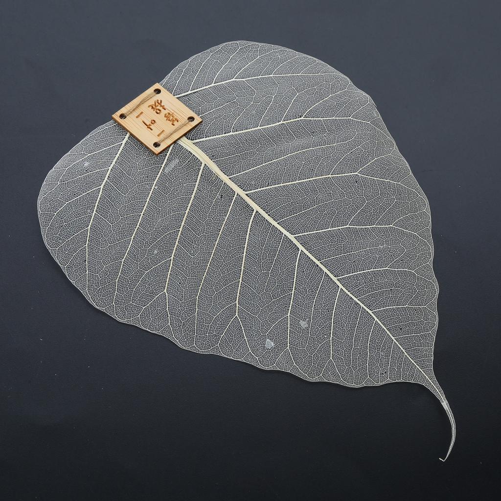 Натуральный чайный фильтр с листьями Bodhis, сетка для чая, ситечко для заварки, чайная посуда, аксессуары для утечки чая для кунг-фу, травы, специи