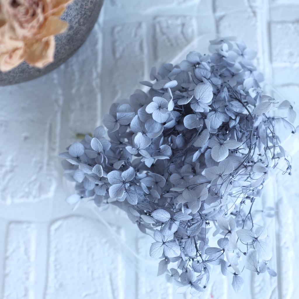 Eternal Hydrangea Dried Petals - Craft, Decor, Gift Accessory