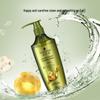 Schwarzkopf Ginger Essence Oil Control Hair Conditioner