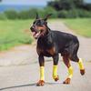 Elastic Dog Leg Covers Anti-dirty Dog Elbow Cover Anti-fouling Pet Elbow Protector  Sports Sheath