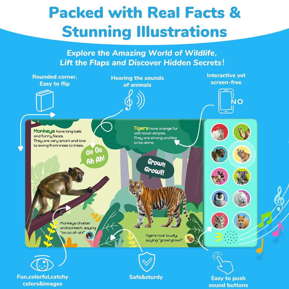 BEAR TALE Button Sound Book for Kids Age 0-3 years Early Education Book with Wild Animals Children's Audio Book 10 Pages