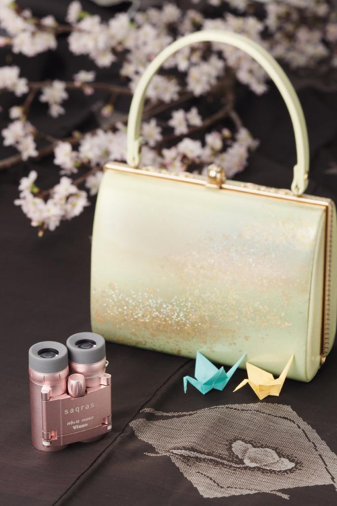 Бинокль Vixen Saqras H6×16 16481-3