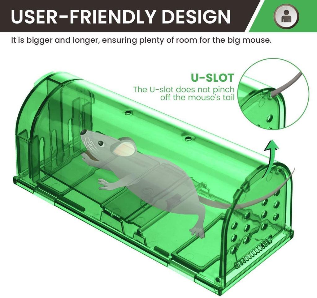 Для небольшой педали мышеловки клей легко установить из 4 Мышеловка, мыши, ловушка, ловушка, тип, приманка, ловушка, мышеловка, уничтожение, лист, ловушка, мышь,