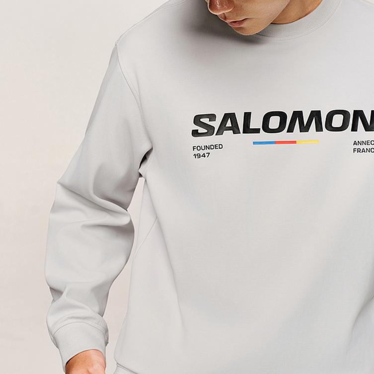 Men's Sweatshirt SALOMON SCULPT SWEATSHIRT M Sweatshirt Men's Light Gray