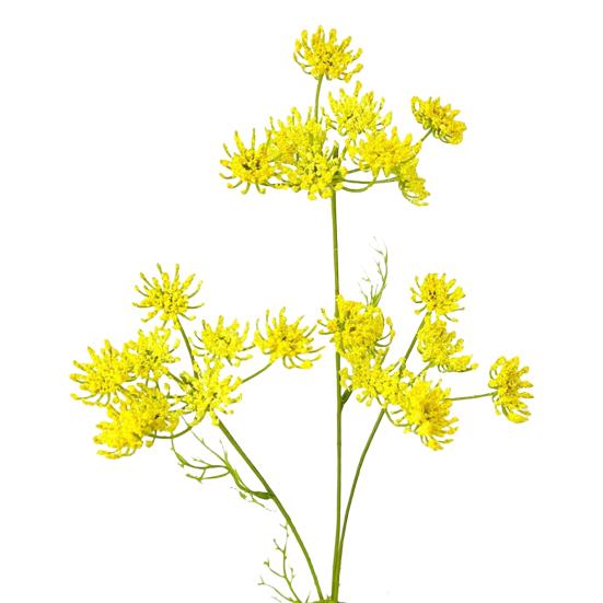 Искусственный кружевной цветок яркий DIY долговечный белый/зеленый/желтый/розовый искусственный кружевной цветок для дома