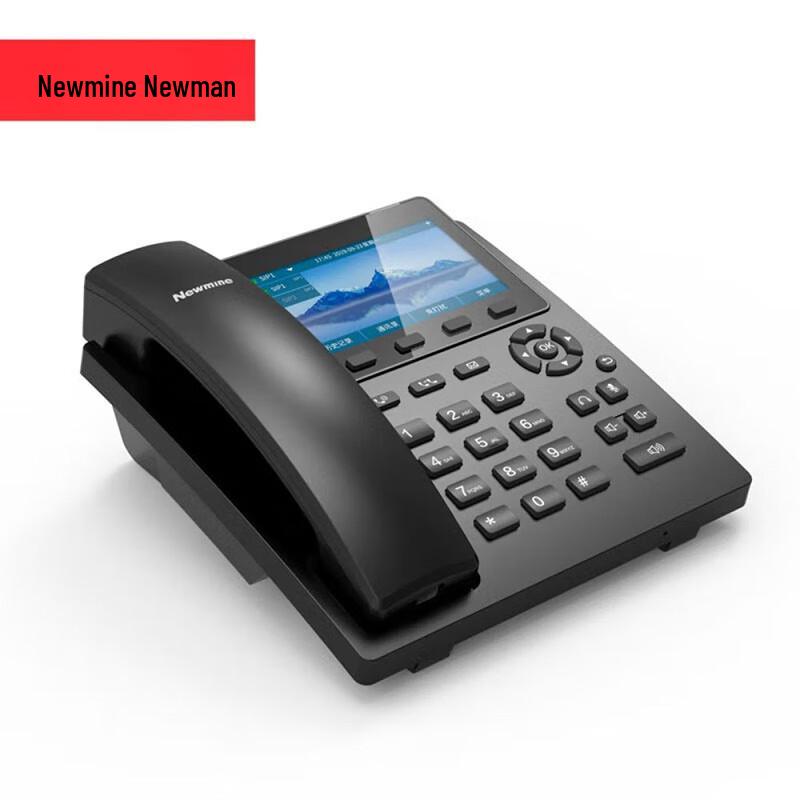 Newmine HL2008TSD IP Recording Business Phone (CN version)