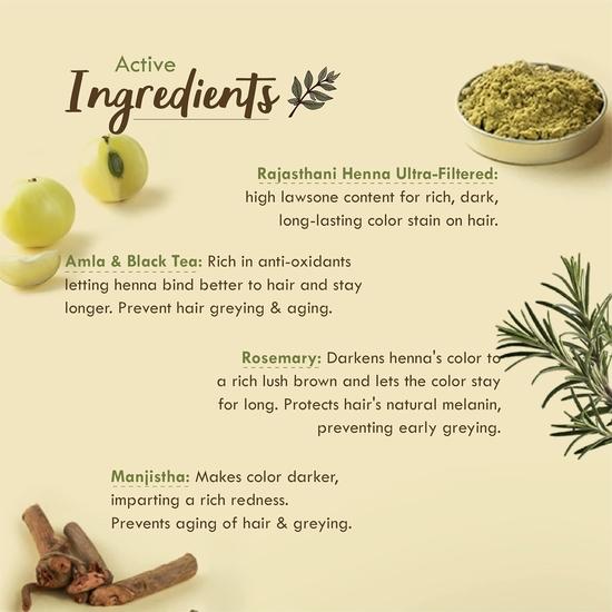 Nat Habit Fresh Ready-To-Apply Henna Paste & Hibiscus Amla Dasabuti Hair Oil for Growth & Conditioning (2 X 220g and 100ml) Combo Pack of 3