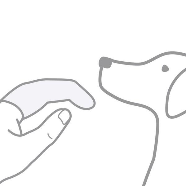 Flo Nature Like Dog & Cat Wet Tissues, Korean Pet Shampoo