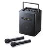 Sanwa Direct Wireless Microphone Speaker Set Loudspeaker 40W Dry Power Supply Storage Bag Included Battery/AC 400-SP066