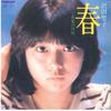 7-дюймовая пластинка SHOKO SAWADA - Haru / Ochiba no Heya CWP7 PANAM 1981 Япония Японский поп/рок
