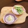 Japanese Style Ceramic Garlic Grater Plate Smooth Edge Porcelain Grater with Spout for Outdoor Camping Home Paste Making