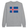 Футболка с длинным рукавом - PIXELFORMA - Флаг Исландии - Серый - 100% хлопок - Взрослый