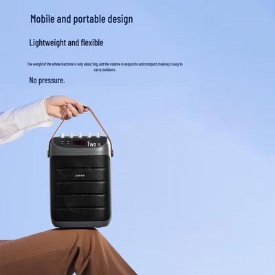 Edifier PK305 Классический портативный караоке-динамик Штепсель CN (адаптер в комплекте)