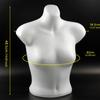 Female Mannequin Torso Women Body Form Professional Manikin Bra Display Underwear