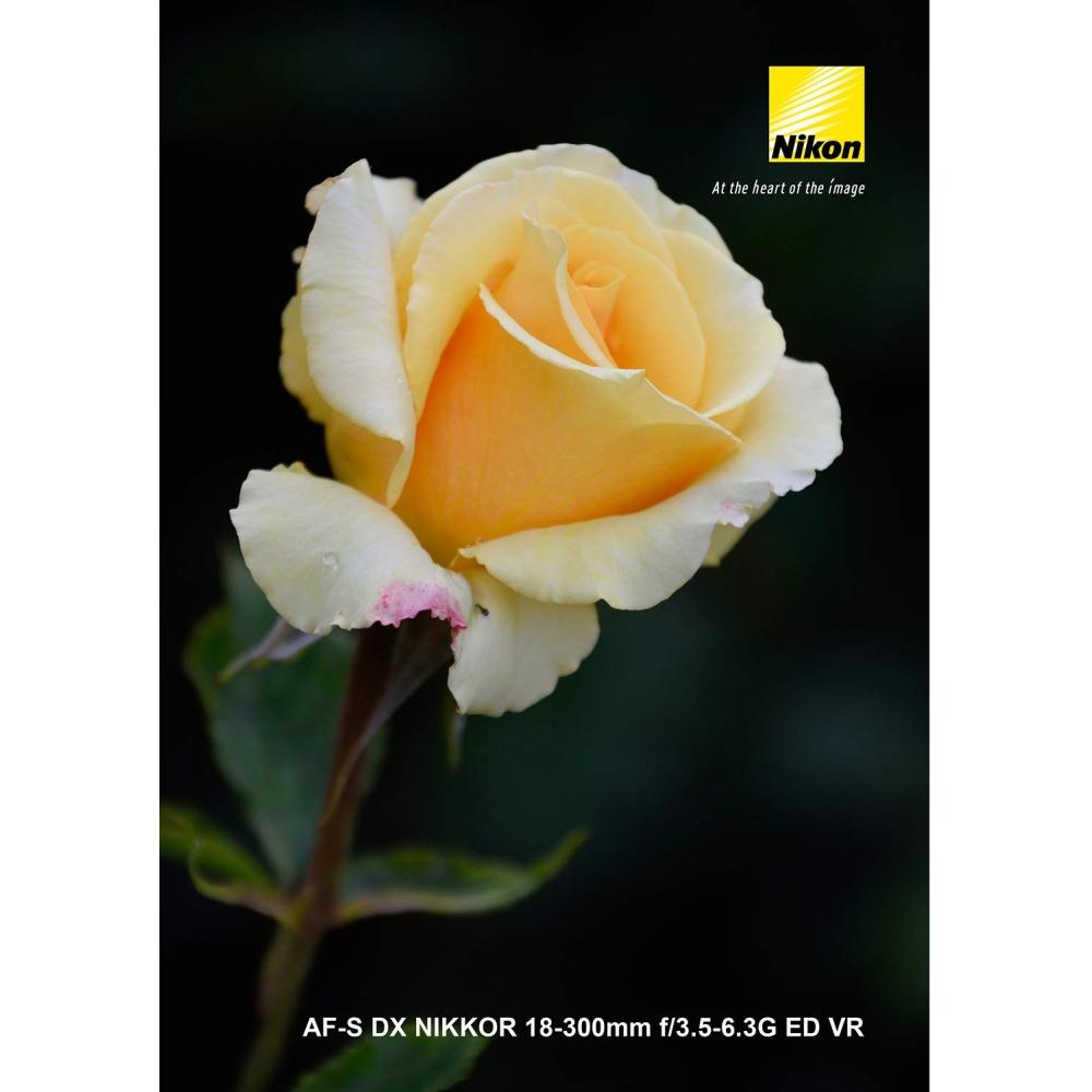 Зум-объектив Nikon с большим увеличением AF-S DX NIKKOR 18-300mm f3.5-6.3G ED VR, эксклюзивно для формата Nikon DX