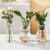 Floor-standing Aquatic Plant Container Plastic Hydroponic Flower Pot Creative   Living Room