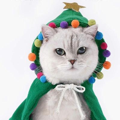 Кошки – Одежда для кошек
