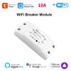 Tuya WiFi 10A Smart Switch Breaker Module Wireless Remote Switch Alexa Google Home By Tuya EWeLink APP Remote Voice Control