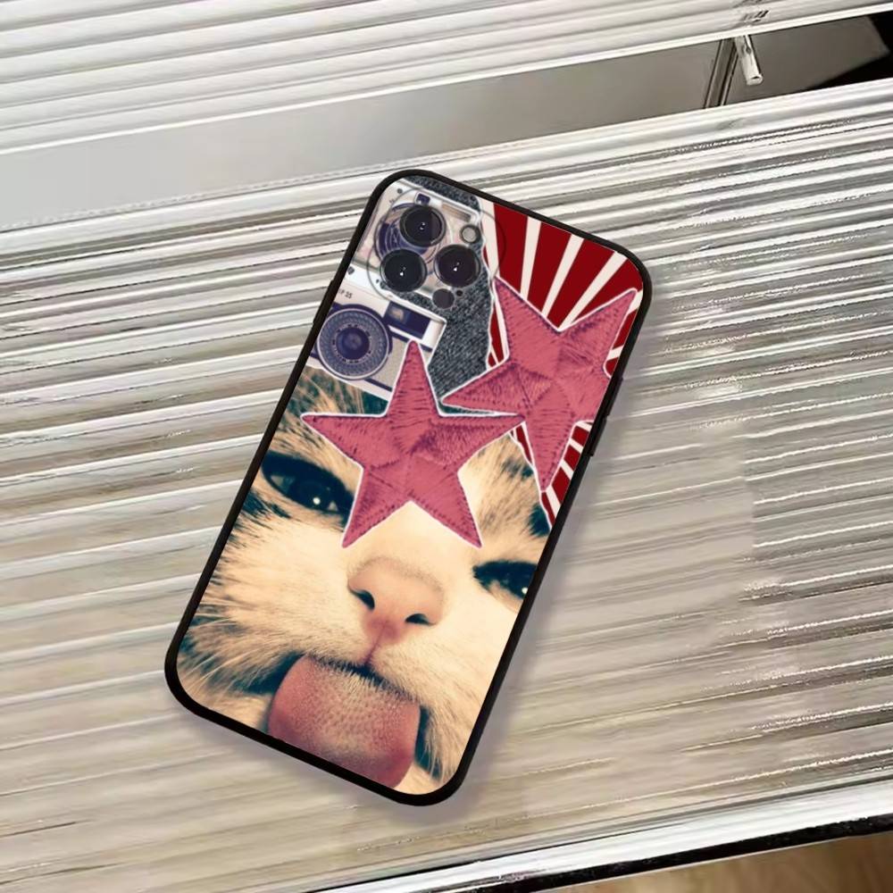 Милые кошачьи мемы Чехол для телефона Для iPhone 17,16,15,14,13,12,11 Plus,Pro Max,XS,Мягкий силиконовый Черный чехол